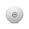Evolution Dimple Match Ball 2024